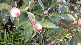 20150611_190812.webp