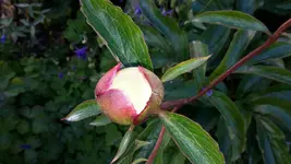 20150611_190829.jpg