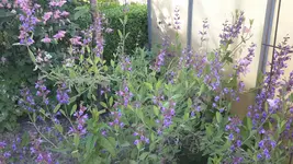 20150611_190853.jpg