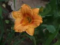 DSCF3862.webp