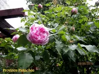 IMG_4733-003.webp
