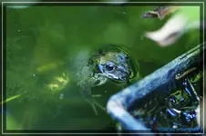 comp_DSC03727.webp