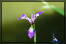 comp_DSC03728.webp