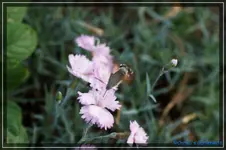 comp_DSC03737.webp