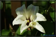 comp_DSC03729.webp