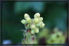 comp_DSC03742.webp