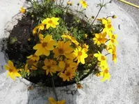 Bilda011.webp