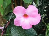 Bilda029.webp