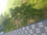 20150611_184557.webp