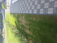 20150611_184618.webp