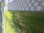 20150611_184618.jpg