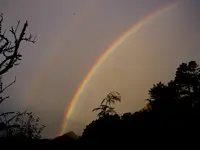 Regenbogen v.webp