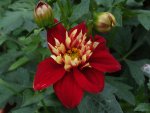 DSCF3867.jpg