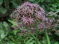 DSCF3866.webp