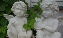 white (29).webp