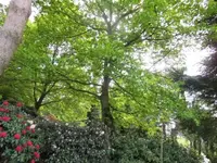 Bilda107.webp