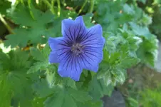 DSCF1426.webp