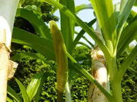 DSCF9013.webp