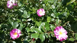 20150612_133927.jpg