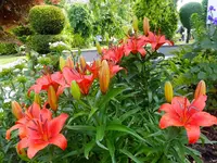 DSCF9053.webp