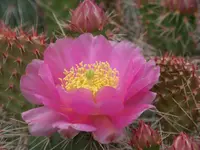 100_6204.webp