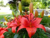DSCF9051.webp