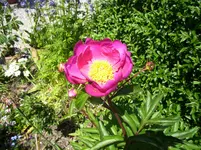 100_1751.webp