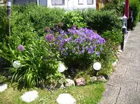 100_1754.webp