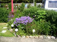 100_1758.webp