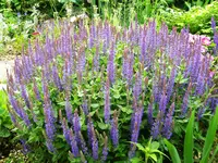 DSCN9058.webp