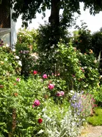 IMG_5167.webp