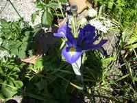 100_1752.webp