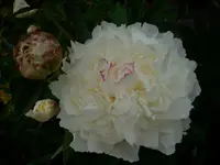 DSCI3449.webp