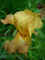 DSCI3439.webp