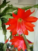 DSCI3447.webp