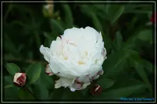 comp_DSC03760.webp