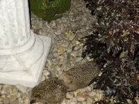 DSCF9163.webp