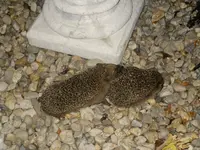DSCF9166.webp