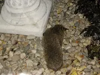 DSCF9169.webp