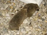 DSCF9192.webp