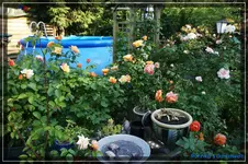 comp_DSC03756.webp