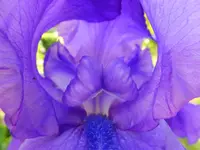 DSCF9111.webp
