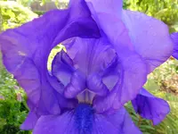 DSCF9113.webp