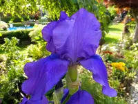 DSCF9107.webp