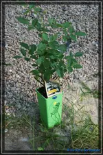 comp_DSC03764.webp