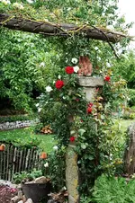 Rosenb. rechts Alberic Barbier&Thats Jazz.webp