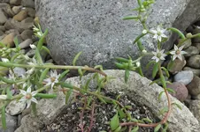 DSCF1432.webp