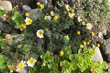 DSCF1433.webp