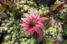 DSCF1434 (2).webp