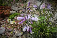 DSCF1436 (2).webp